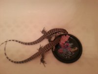 20131125_084616.jpg