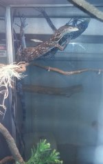20131219_143424.jpg