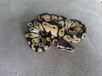 20130918_103522.jpg