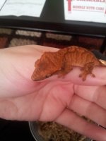 20131029_095640.jpg