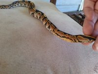 20130918_141718.jpg
