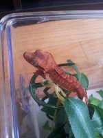 20131029_100730.jpg