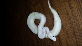 20131115_102736.jpg