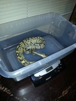 20131202_181122.jpg