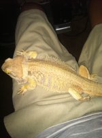 IMG_0939[1].jpg