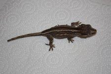 th_IMG_8813.jpg