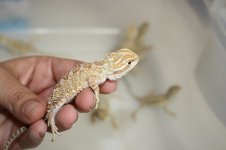 IMG_8654.jpg