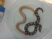 20130718_183401.jpg