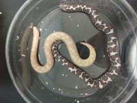 20130718_183323.jpg
