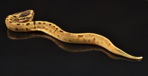 Super Enchi Pied Female 1.jpg