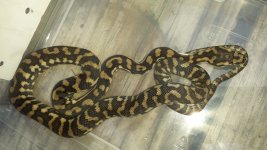 20130929_181712.jpg