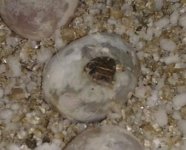 2013-06-26_00.58.09-1.jpg