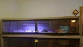 WP_20131001_11_26_31_Pro.jpg