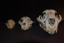 DSC_0018.jpg