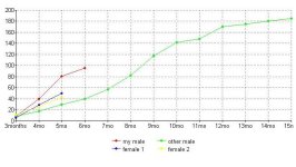 chart.jpg