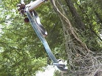 blueracer.jpg