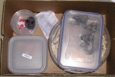 box.JPG