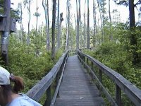 clearspringstrail.jpg
