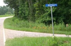 reptileroad.jpg