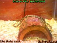 wxp_215244_01.jpg