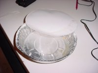 doa snappers container.jpg