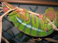 IMG_9376.JPG