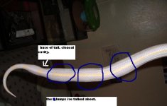112naem.jpeg
