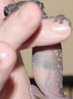 dsc00011.jpg