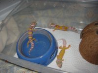 img_0066.jpg