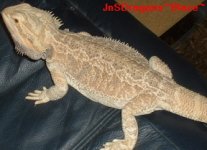 blaze1.jpg