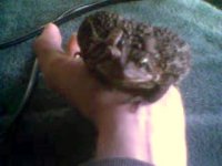 feb08012.jpg