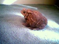 feb08011.jpg
