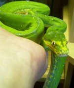 what a face!!.jpg