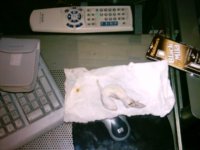 imag0013.jpg