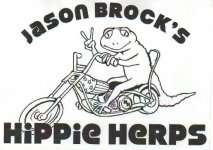 hippieherp logoscan.jpg
