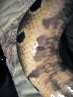 IMG_0462_edited.jpg