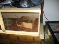 IMG_0474.jpg