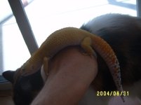 s4300071.jpg