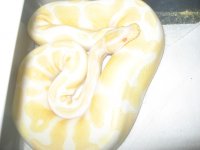 IMG_1279.jpg