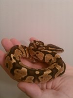 IMG_20100913_012845.jpg