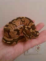 IMG_20100913_012813.jpg