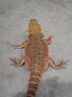 IMG_2205.JPG