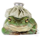 sick frog.jpg