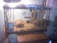 montys tank.jpg