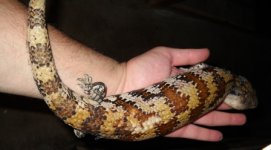 DSCN4637.JPG