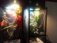 20131108_222039.jpg