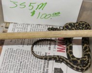 JS5M 12-14-13.jpg