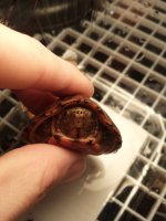 20131207_165134.jpg