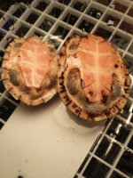 20131207_165058.jpg