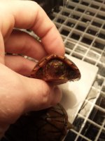 20131207_165158.jpg